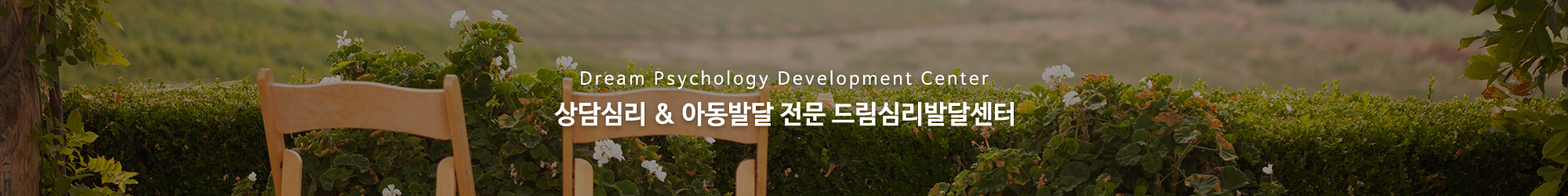 드림심리발달센터_공통상단
